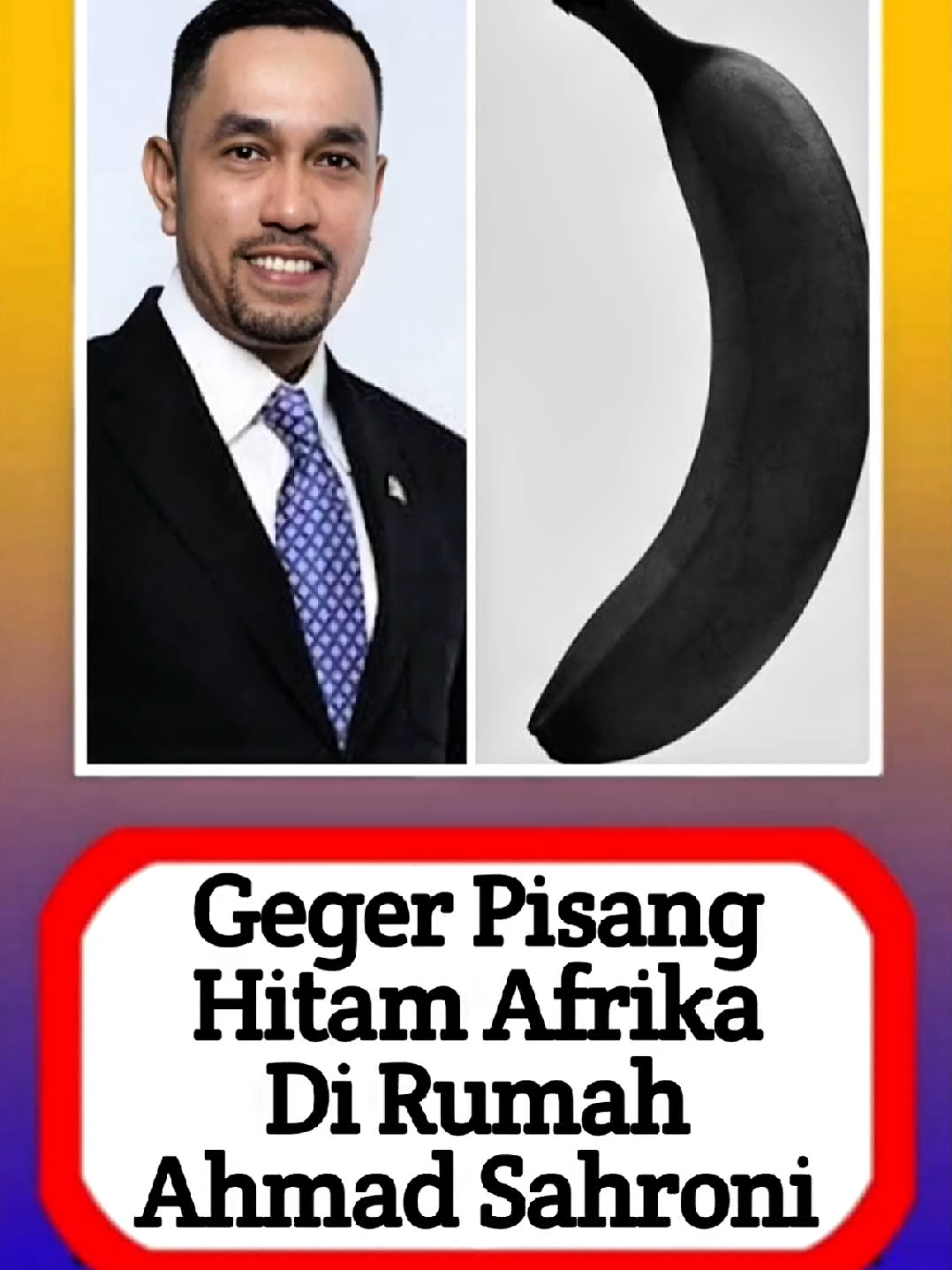Geger pisang hitam Afrika di rumah Sahroni! #alasyinews #beritatiktok #beritaterkini #artistsoftiktok