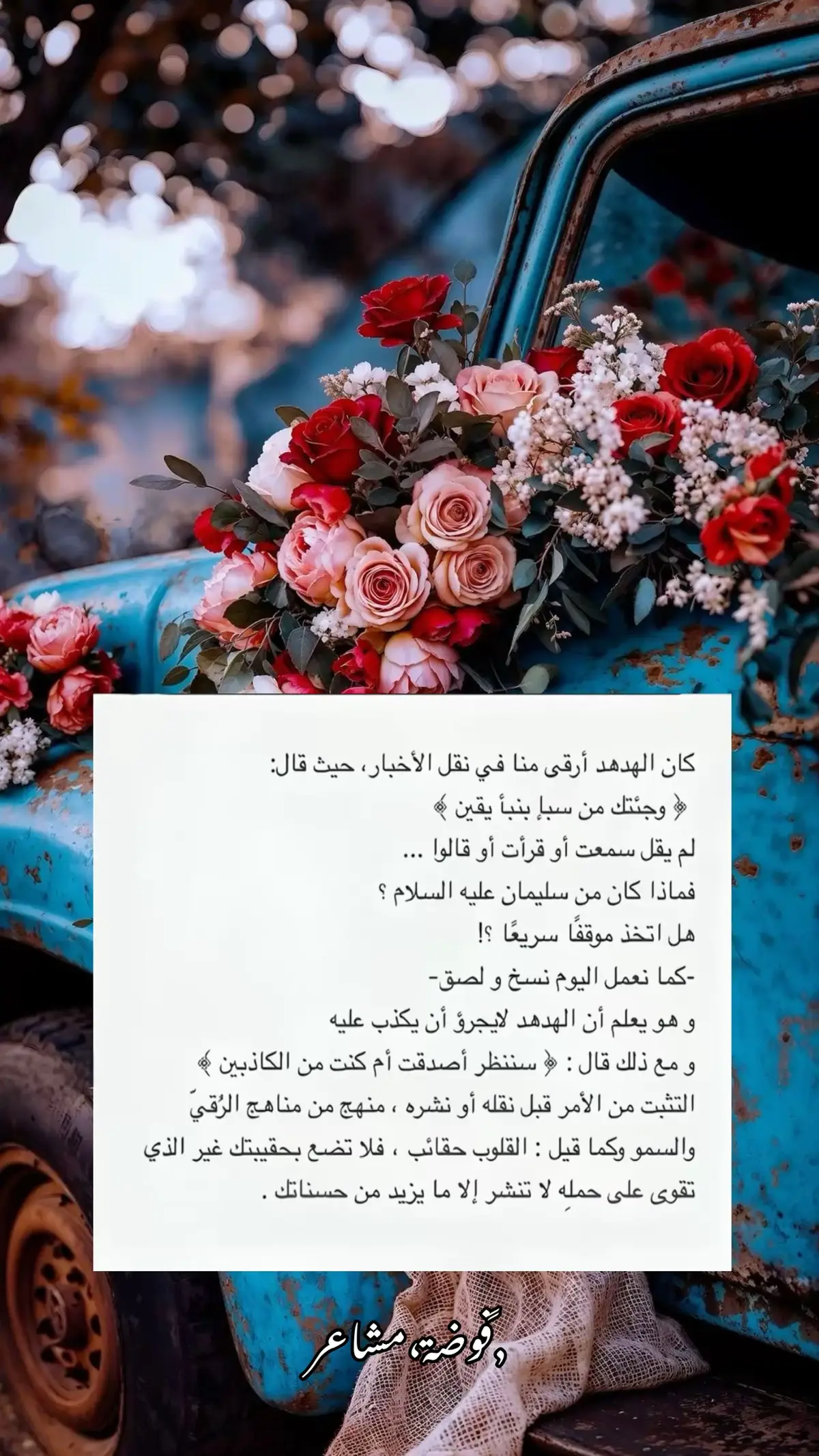 #flypシ #foryou #اكسبلورexplore #بوح_المشاعر #اكسبلور_تيك_توك 