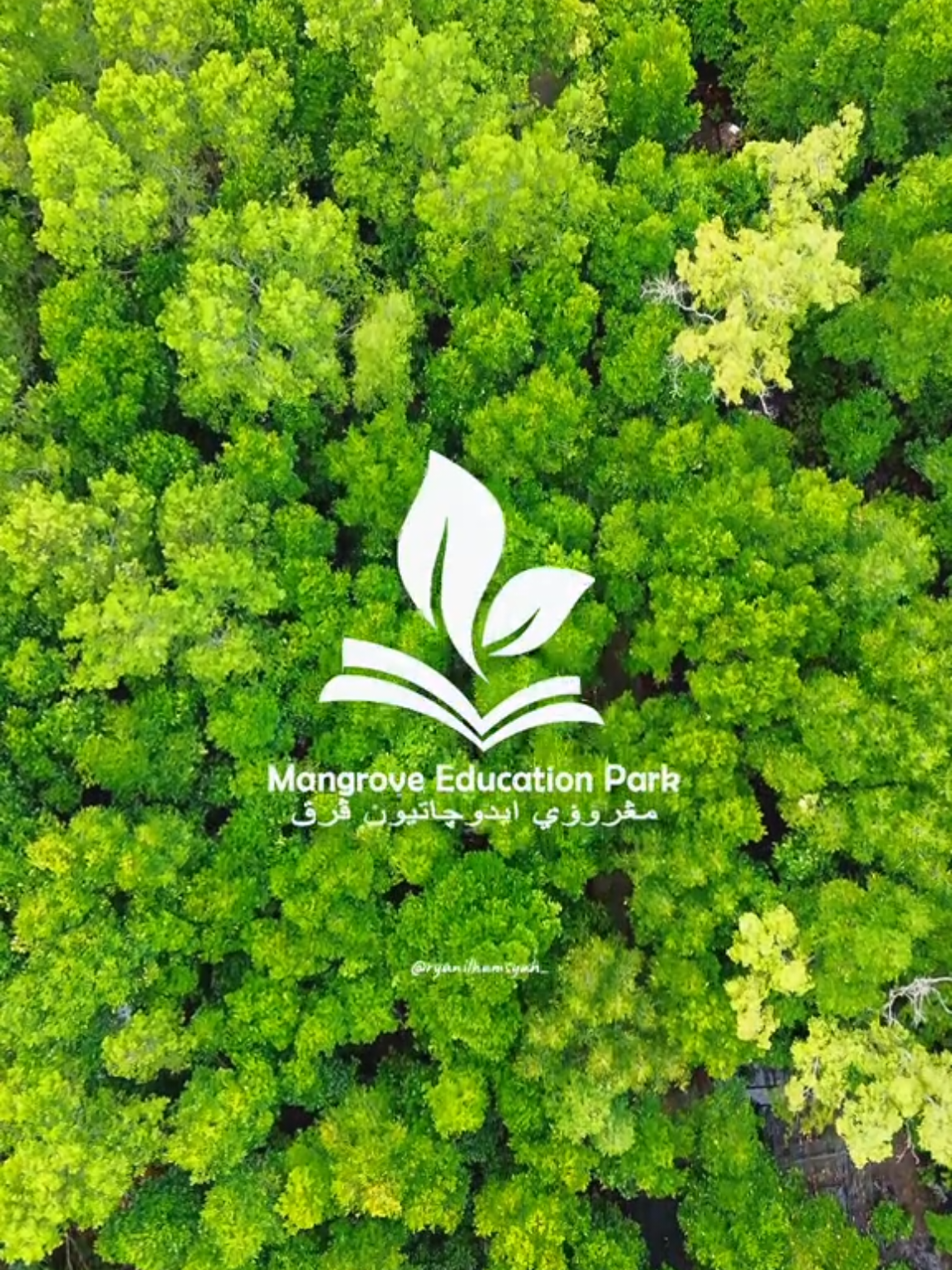 Mari sama sama menjaga Mangrove, terimakasih STAI SUSHA SIAK sudah singgah #mangroveeducationparksungaipakning #mangrove 