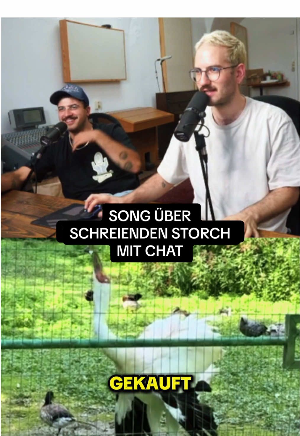 Kein Storch macht so?! #zorschundkurt #twitchhighlights #song 