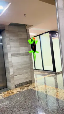 Kids love toys that can crawl on ceilings
 #CeilingClimber #RCWallClimber #FunToyForKids #RemoteControlGecko #WallClimber