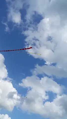 ලස්සන දිග ඒවා 😍🔥 #trending #sarungal #kiteflying #srilanka 