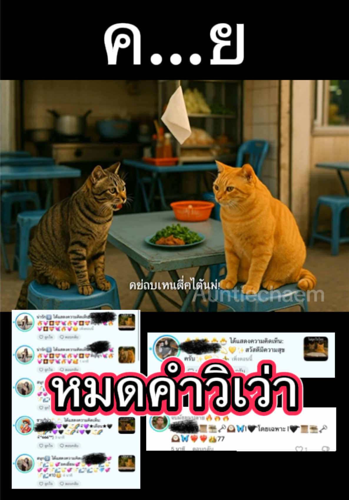 ใครเจอช่วยกันรายงานหน่อยลำคาน #fyp #แมว #แมวอ้วน #ยายสายแซ่บ #ยาย 