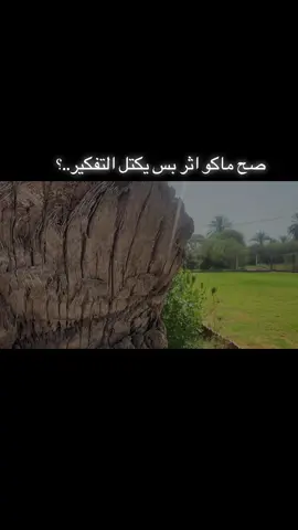#اصحاب_العبارات_الفخمه_التعليقات_لكم،💔🥀 #CapCut #Sing_Oldies 