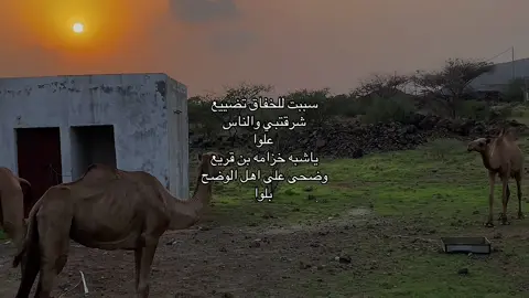#اكسبلور #بدون_موسيقى 