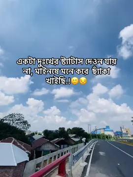 🙂😒#প্রাকৃতিক_সুন্দর্য #foryoupage #fypシ゚ #caption #funnyvideos 