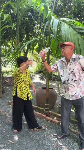 Vợ chồng Bà Năm tái ngộ trong cơn say #luctinhnamkyfood #nghesiphiphung  #nghesivietanh 