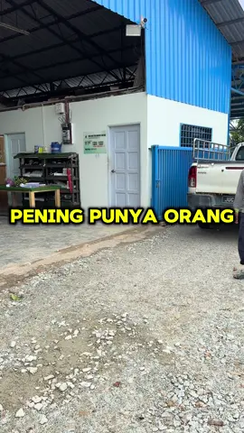 Pening Betul #newhockthainurserysdnbhd #duriangeng #funny 