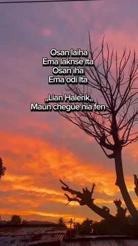 Liafuan husi maun chegue nia fen😥 🥺#chyeelobby #padahariini