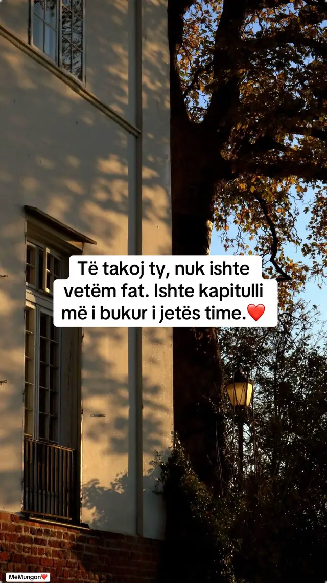 #fyy #fyy #fyy #shqiptaretneperbote🇦🇱🌍 #shqip 