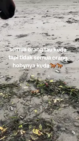 #mainjaransumbawa#ntbpride🏝️🌴 #foryoupage 
