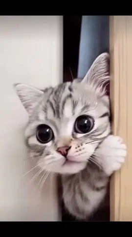 🤪🤪🤪🤪#foryou100kviews #myaccountunfreze🙏🥺 #foryou_tiktok_viral_video_tiktok_foryoupage_100 #myaccountunfreze🙏🥺viral #unfrezzmyaccount 