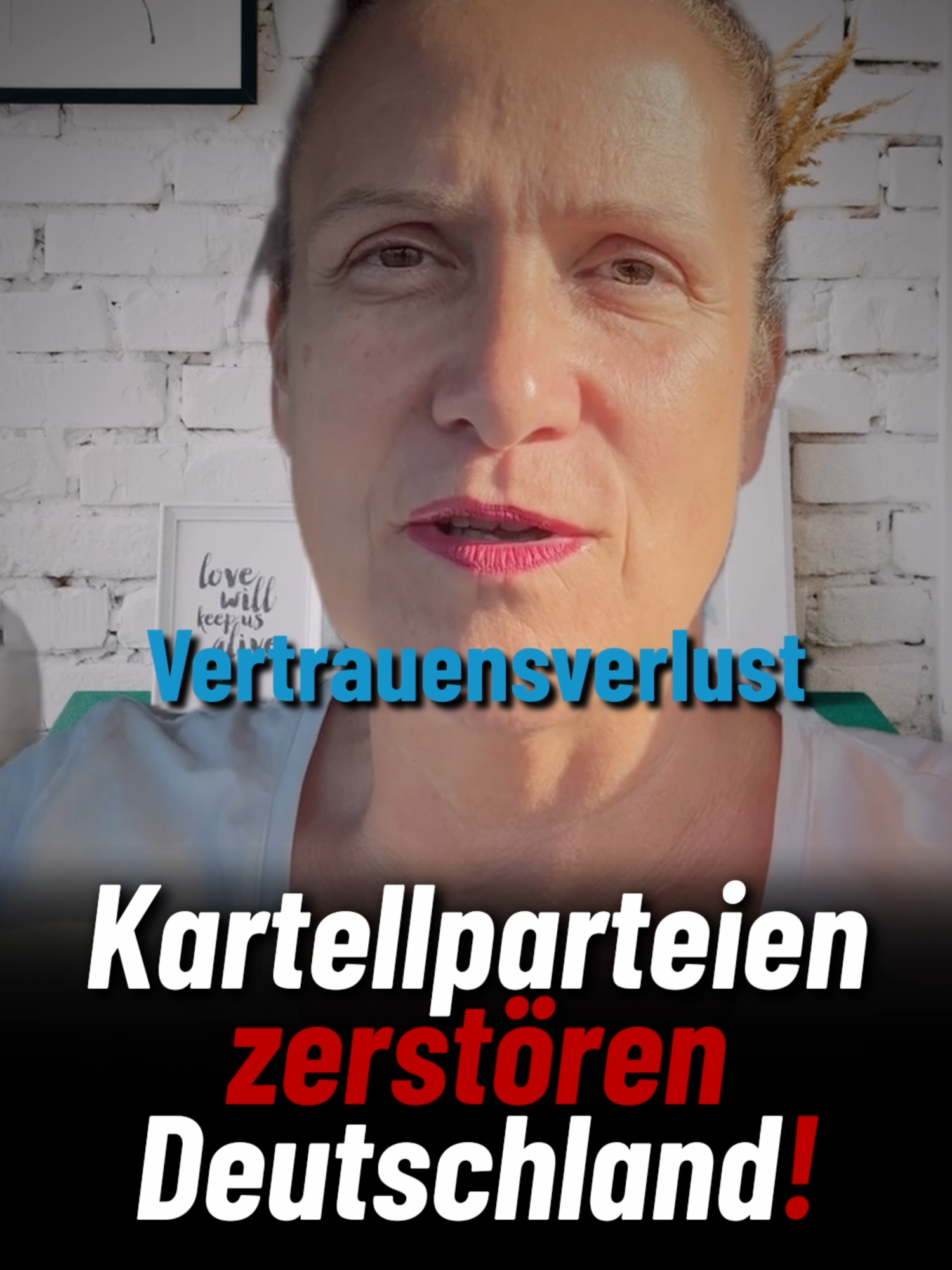 Sie zerstören unser geliebtes Land! #bundestag #politik #berlin #viralvideos #deutschland🇩🇪 #demokratie #forypupage #afd