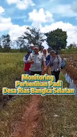 Kepala BRMP Babel Bersama Petugas BPSMP Bangka Belitung Monitoring Perbenihan Padi di Desa Rias, Kab. Bangka Selatan