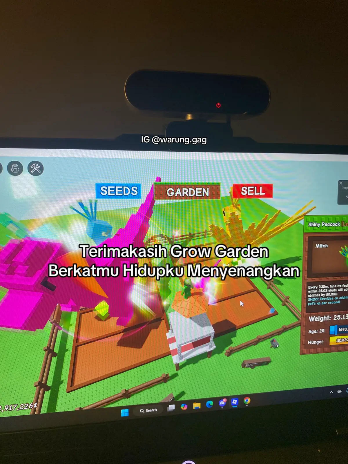 Hehe seneng ga main GAG? #roblox #growagarden #fyp 