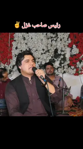 نور علی حیدر شوق 🤘🫰🫰✌️✌️✌️✌️😭#foryou #foryoupage #unfreezemyacount #viralvideo #100kviews @Itx_Ahmd_Yar_ @prince_ahmed_khan_ @🧿❤️👈زاکر❤️‍🔥آچگزئ👑❤️🧿 @آدوزی شارمست اغا @꧁🫀𝐍𝐊_𝐀چ𝐚𝐤𝐳𝐚𝐢🫀꧂ @꧂༒࿇  خانزادہ  ࿇༒꧂ @Alone boy 🫀🥀 