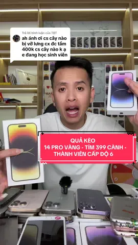 Trả lời @TBT QUẢ KÈO 14 PRO VÀNG - TÍM 399 CÀNH - THÀNH VIÊN CẤP ĐỘ 6 #anhuytin #hopmuanhuytin 