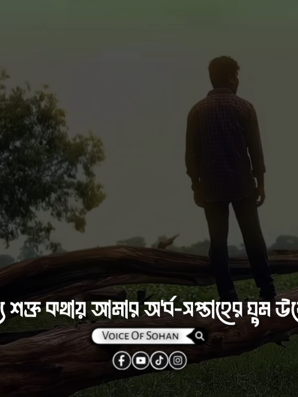 পাথরের মতো নিজেকে শক্ত রাখতে হবে 🥲🥀 #voiceofsohan #reels #viralreels #trending #reelsviralfb 