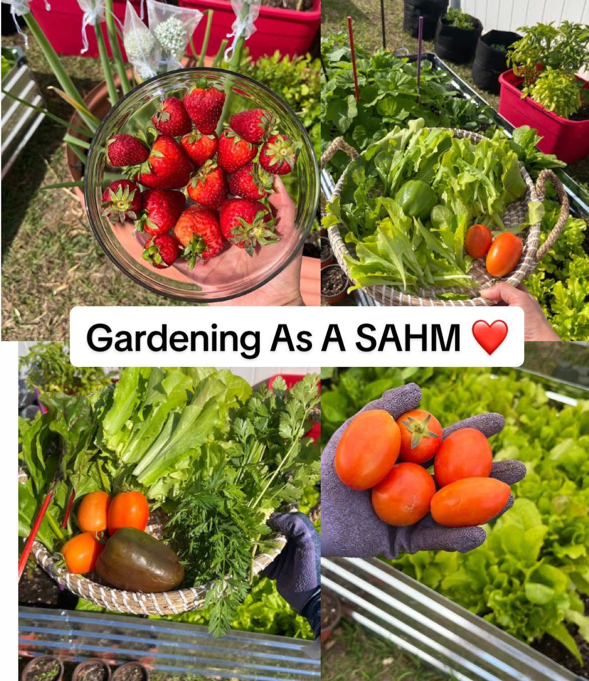 Gardening as a SAHM ❤️🤍  #gardentok #gardening #sahm #sahmlife 