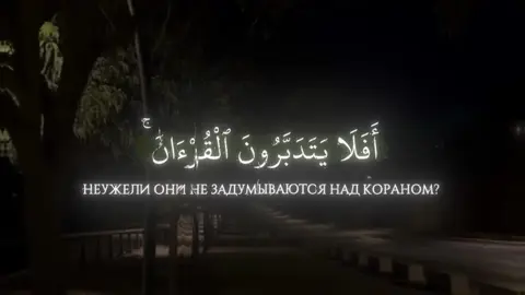 чтец: Махди Аш-Шишани Сура: Ан-Ниса Аят: 82 #коран #quran #القران_الكريم 