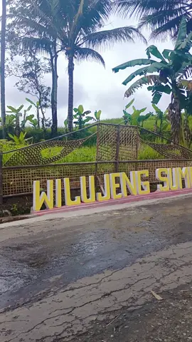 Kemis nu Manis #lemburkuring #tatarsunda #pilemburan #jalankampung #tasikmalaya 