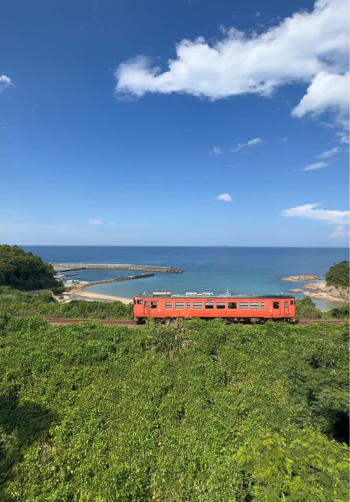 山陰本線 飯浦〜戸田小浜。益田から下関に向かう山陰本線の車窓も、これもまた格別。 #鉄道 #山陰 #train #Summer #japan 