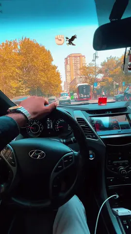#yq984 #elantra 