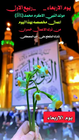 اعمال مولد النبي محمد (ﷺ)(١٧_ربيع الاول)  #الشيخ_جعفر_الطائي #فولو #صلاه #ياحسين 