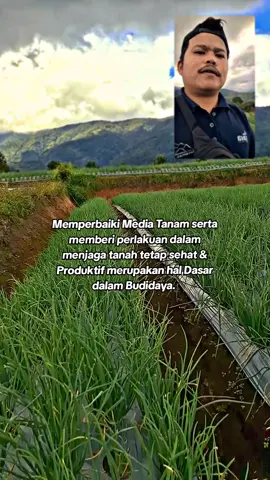 Pertanian Berkelanjutan 🌱 #petaniindonesia🇮🇩🇮🇩🇮🇩🌿🌿 #petanimilenial  #pertanianberkelanjutan #pupukbiofosfat👍🏻  #CapCut 