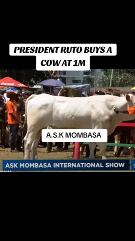 President William Ruto buys a cow at 1 million Kenyan shillings at the Mombasa Agricultural show ASK #breakingnews #fyp #nairobitiktokers #kenyatiktok 