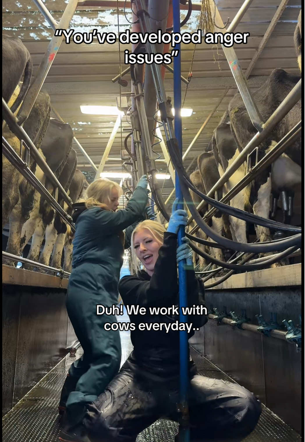 Just kidding, cows are our everything @chelseateresee #farmers #agriculture #agri #cowshed 
