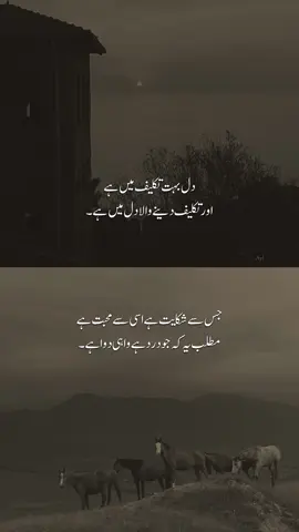 🙂❤️‍🩹 #foryoupage #urdu #urdupoetry #sad #sadshayari 