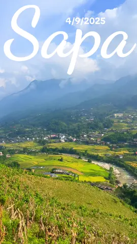 Cập nhật Lúa ở Tả Van cho ae nhé. Sắp hết rồi#sapa #thodiasapa #thoitietsapa #thuexemaysapa sapa 4/9/2025