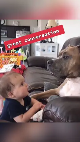 Funny dog and cute baby 🥰🥰#dog #pet #I #baby #bestfriend #cute #cutebaby #lovestory #dogsoftiktok #foryou #usa🇺🇸 