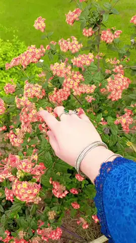 کون جانے کہ عِنایَت یا سزا ہے مُجھ کو   لوگ وہ جِن کو بُھلانا تھا سدا یاد رہے  #nature_lover #poetrylover #princess_zee319 
