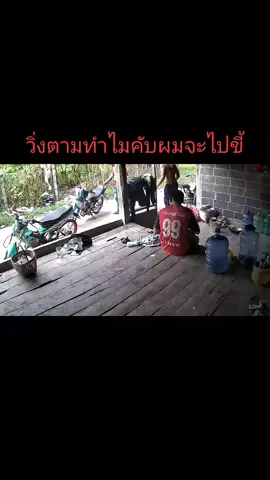 ไปยาวๆเลยคับ😁😁😁😄##โขงเจียมหวานมาก😁