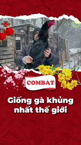 Anh em biết gà gì đây không