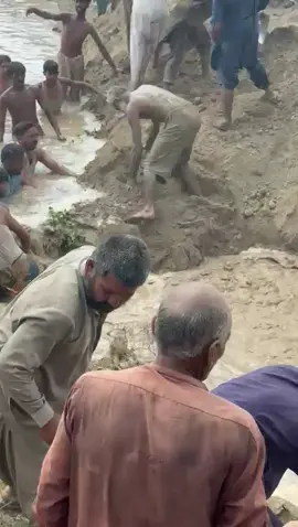 سیلاب کی لہریں سب کچھ بہا لے جاتی ہیں 🌊 مگر حوصلے اور محنت کبھی نہیں ڈوبتے 💪۔ کسان اپنی زمین اور گھر بچانے کے لیے جدوجہد کر رہے ہیں، دعا ہے اللہ سب کی حفاظت کرے 🤲#engrsabirmeyo #RiverVibes #FloodUpdate #PakistanFloods #SaveCrops     @Sabir meyo😎 @Sardar Faizan Meo Jalalpuri  