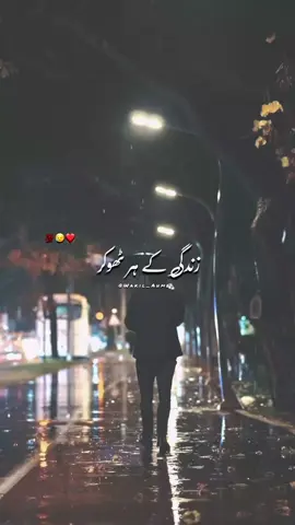 Allah ke siwa tumhara koi apna nahi #islamic_video #urdupoetry #islam #allah #shortfeed