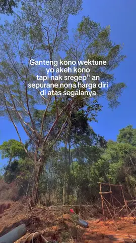 soale rego emas lueh menarik timbang cah wedok #dompengbalap #petaniemas