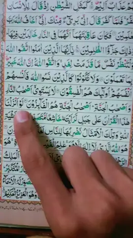 #foryou #foryoupage #viralvideos #Tilawat #surat 