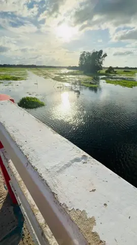🥹🍃 #nature #foryoupage #tiktokbangladesh #dohar #viral 