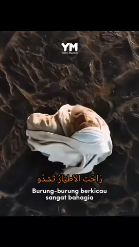 Malam itu, alam semesta menjadi saksi. Burung-burung berkicau riang, langit bersinar terang.  Manusia yang mulia telah lahir ke alam dunia tepat di 12 Rabiul Awal di tahun Gajah, 570 M. Cahayanya memancarkan rahmat untuk seluruh alam. Selamat memperingati hari kelahiran baginda Rasul, Muhammadﷺ. Semoga kita bisa meneladani dan mendapat syafa'at di hari kiamat nanti🤲 #maulidnabi#hariini#kelahiran#rasulullah_saw 