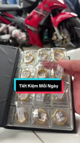 Cố gắng mỗi ngày để lấp đầy cuốn sổ 🥰 #xuhuong #sotietkiem #tietkiem #vang 