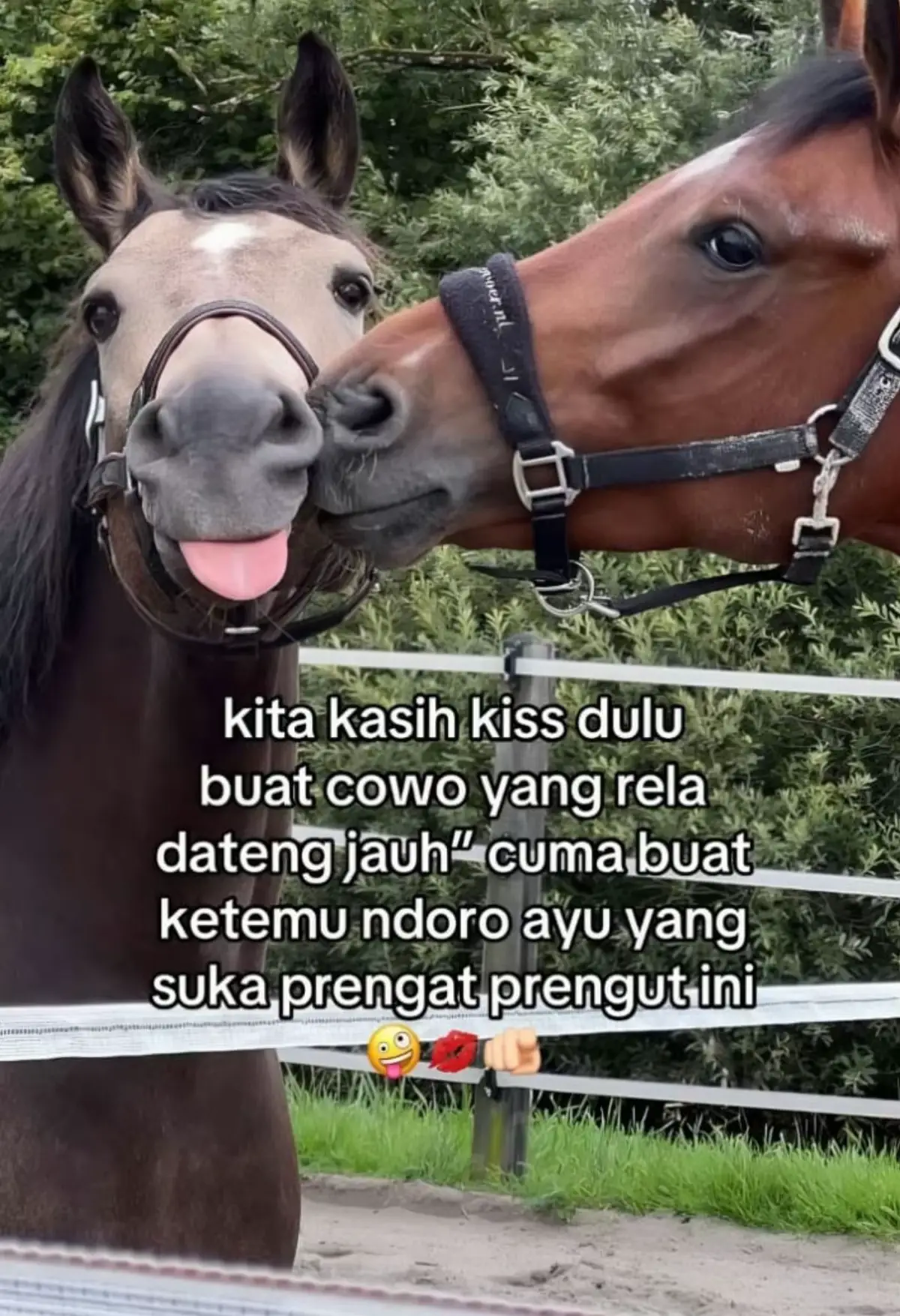 jarak seuprit ttep ketemunya 2minggu sekali 🤣 #trending #bucin #foryou 