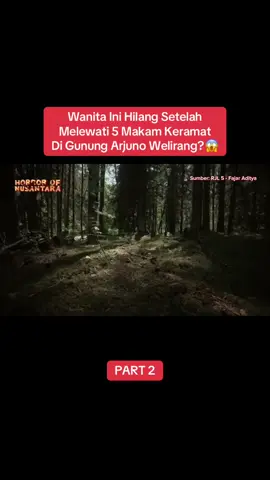 Ada yang punya pengalaman yang sama dengan wanita ini? #arjuno #arjunowelirang #arjuno3339mdpl #horror #viraltiktok 