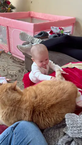My cat is not vibing with the new baby 😹👶 #fyp #cat #cats #catlover #catsoftiktok 