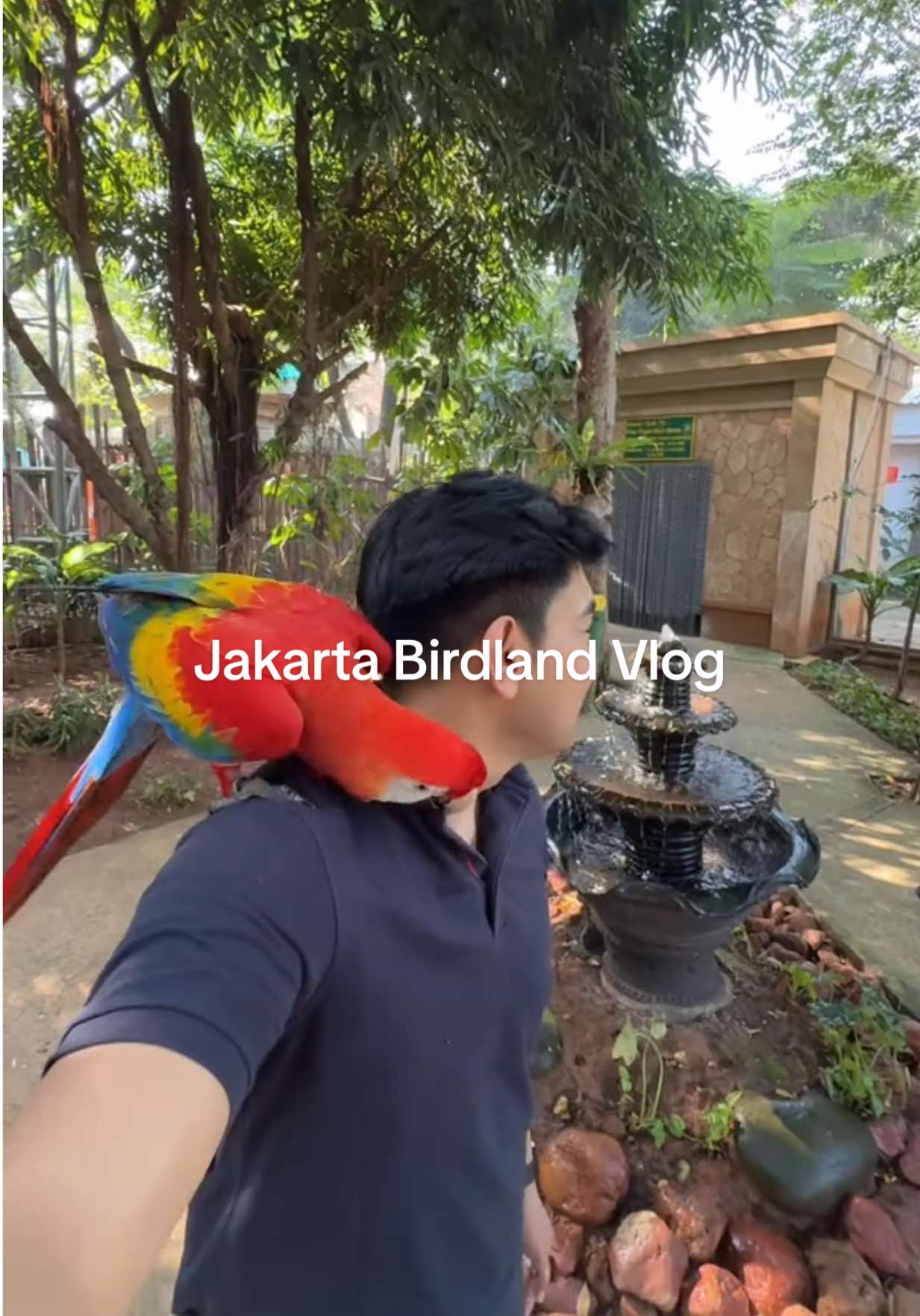 sesekali main sama burung 😄