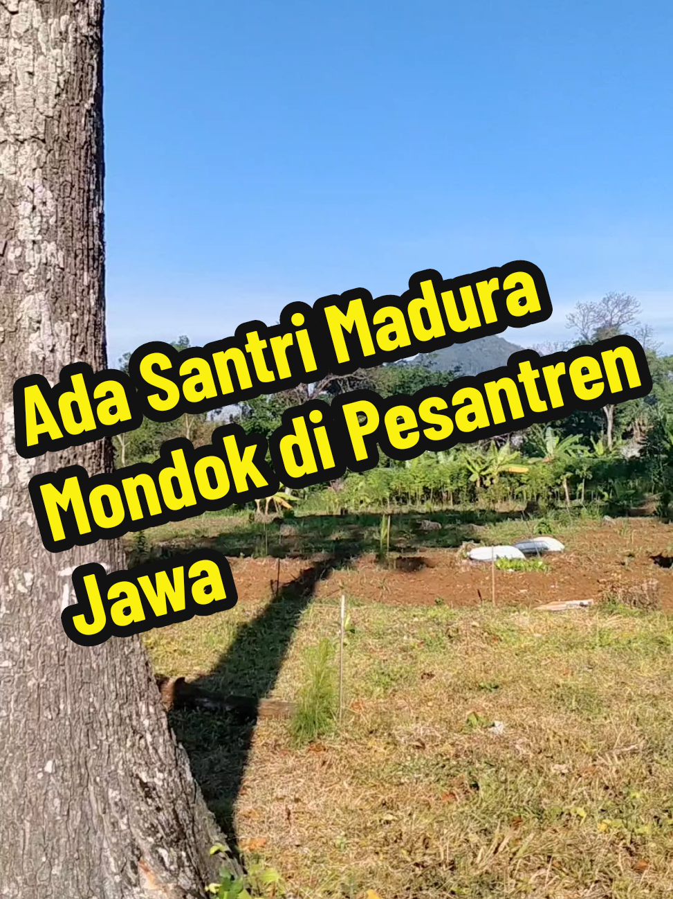 Ada Santri Madura Mondok di Pesantren Jawa. #Ngaji #khanwarzahid #santri 