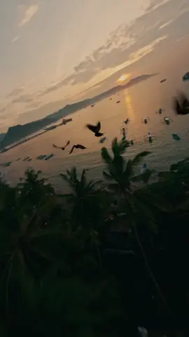 “POV BALAP BERSAMA BURUNG” Menurut kalian itu burung asli apa hook ??? . . 📸 Shot on @goproid @gopro Hero 11 Full Black Using ND Filter @telesin_official @telesin.global  . . Drone SetUp : @lumaquad Luma 5 @CADDXFPV Official Vista Nebula Pro Kit Fpv Camera + Vtx @T-HOBBY FC ESC Velox F7 V50A @Mepsking Motor ZS 2306 1950kV @radiomasterrc Boxer ELRS @djiglobal Fpv Google 2 @ovonicofficial Battery 6s 1300mAh 120c  @hqpropzhong V2S #fpv #birt #3d #cinematic #drone 